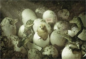 life in the minority