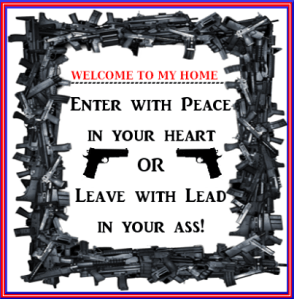 1520706_566696393425407_72129759_n