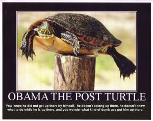 Post_Turtle